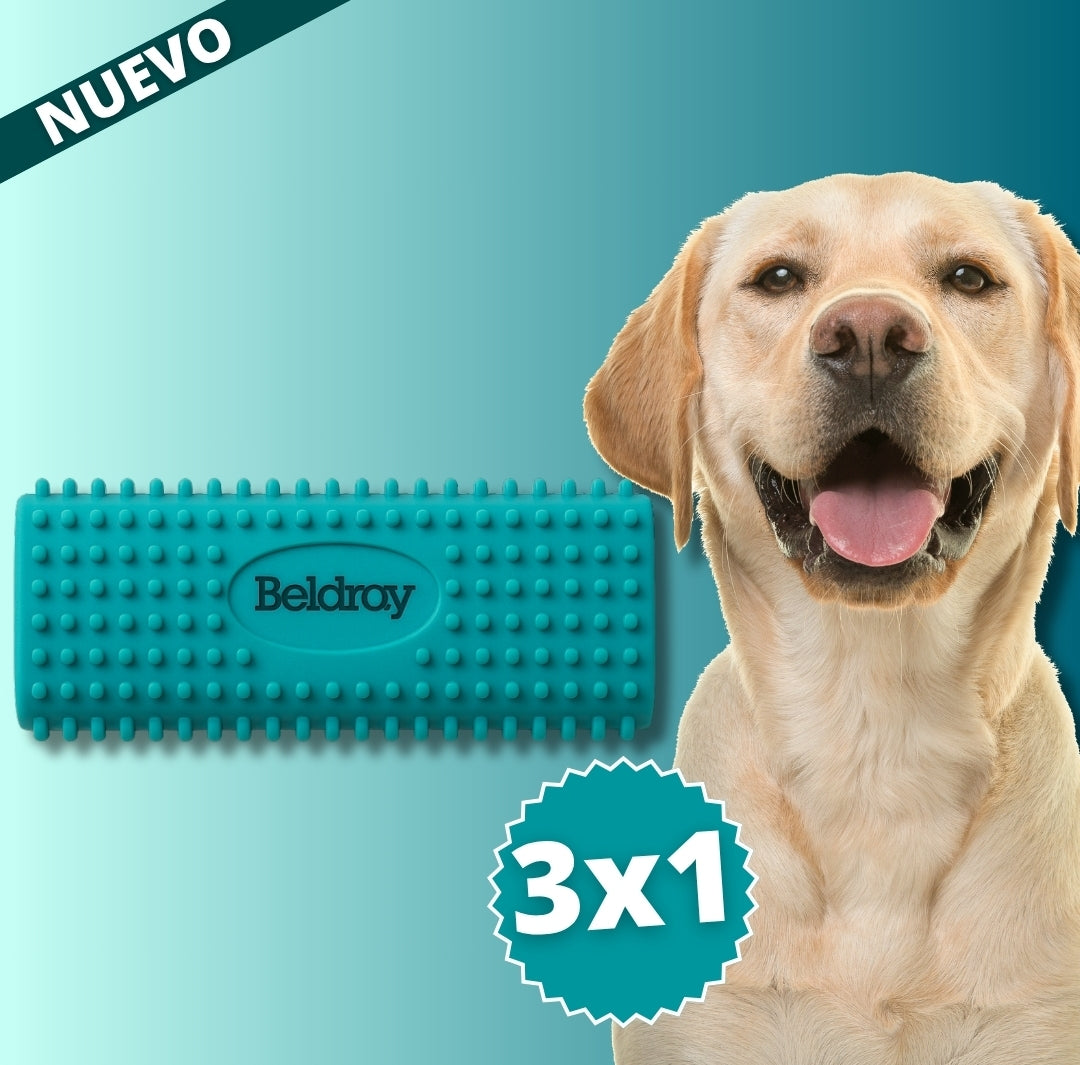3X1 QUITAPELOS PARA MASCOTAS | GOMPET™