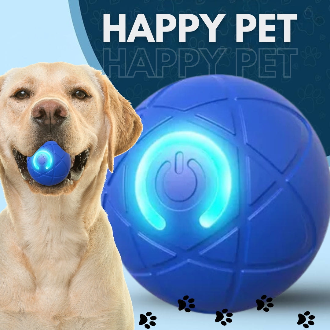 2X1 PELOTA INTERACTIVA CON CARGA USB - HAPPY PET™
